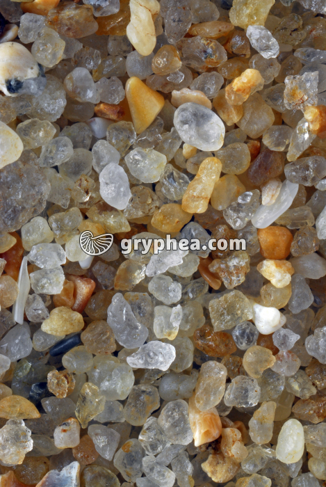 Sable quartzeux - Plage du Pornichet (Loire Atlantique) x4 - gryphea.com